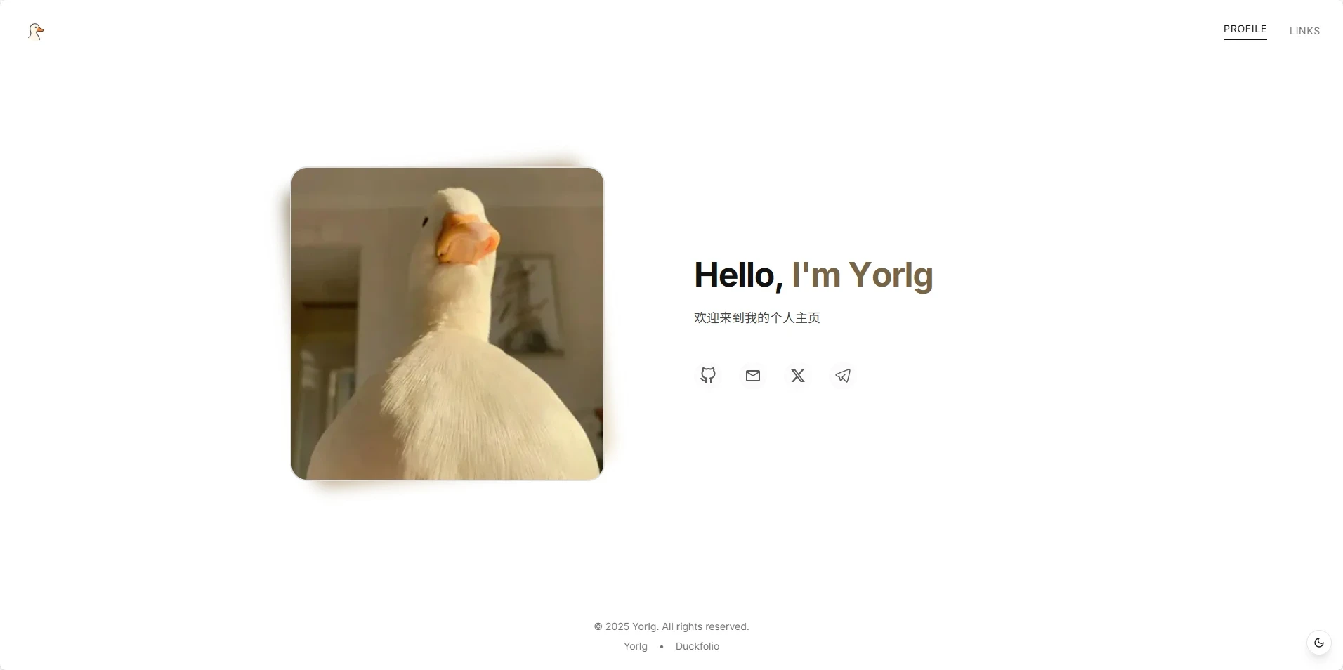 Duckfolio:简洁、现代、有趣的个人主页模板