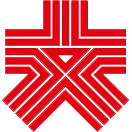 大公网