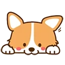 狗狗盘搜