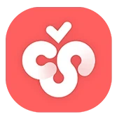 Cherry Studio