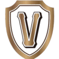 VIP单机驿站