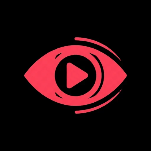 TikTok Story Viewer